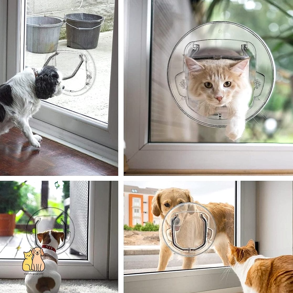 Cat Door with Clear Acrylic Panel