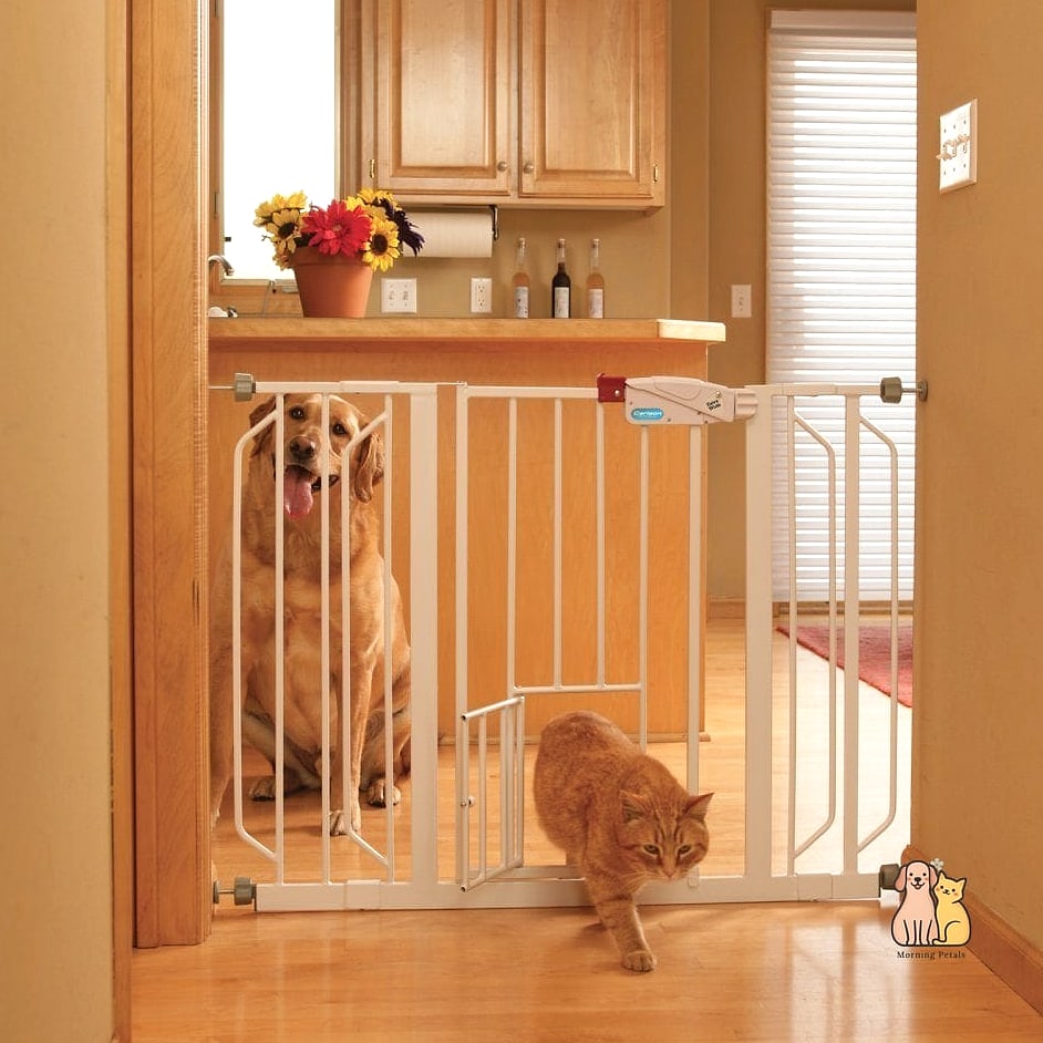 Cat Door Built Into a Pet Gate