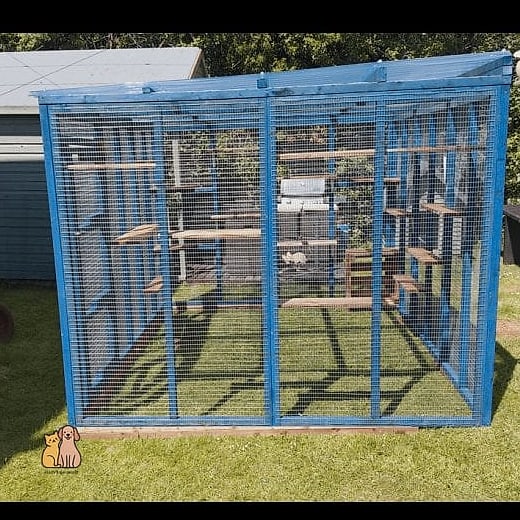 The Cat Enclosure With a Water Fountain Feature