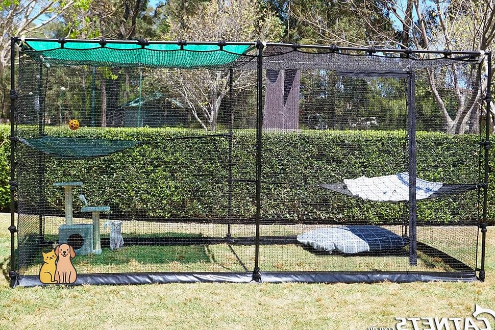 The Cat Enclosure With a Hammock Swing