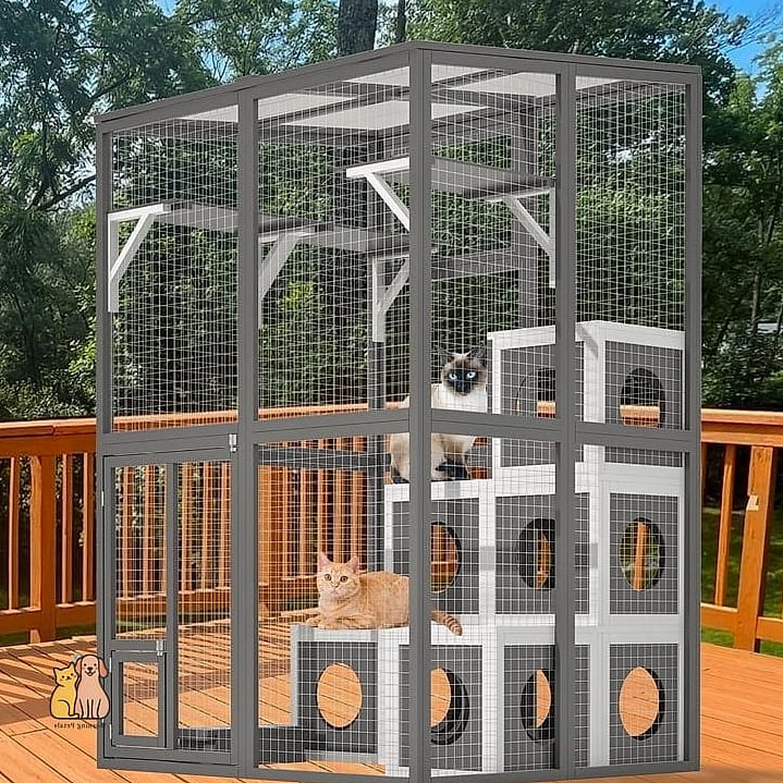 The Cat Enclosure With Multiple Entry Points