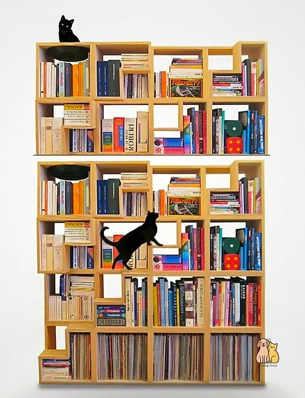A Cat-Friendly Bookshelf Ladder Combo