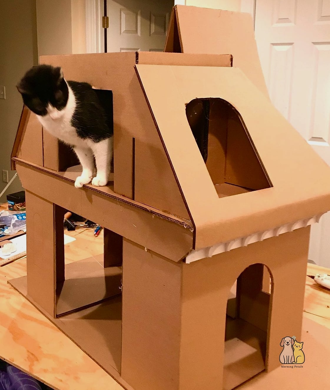 A Cat House With a Built-In Feeding Station