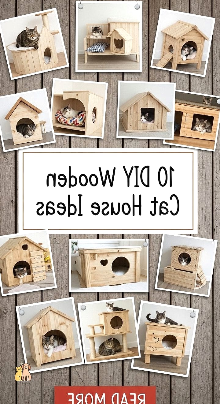 The Cat House With Sliding Barn Door