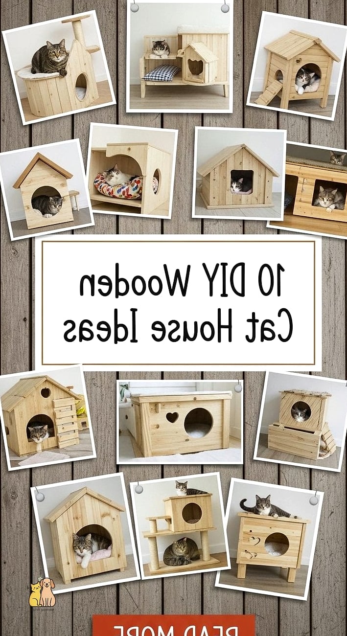 The Cat House With Built-In Feeding Station