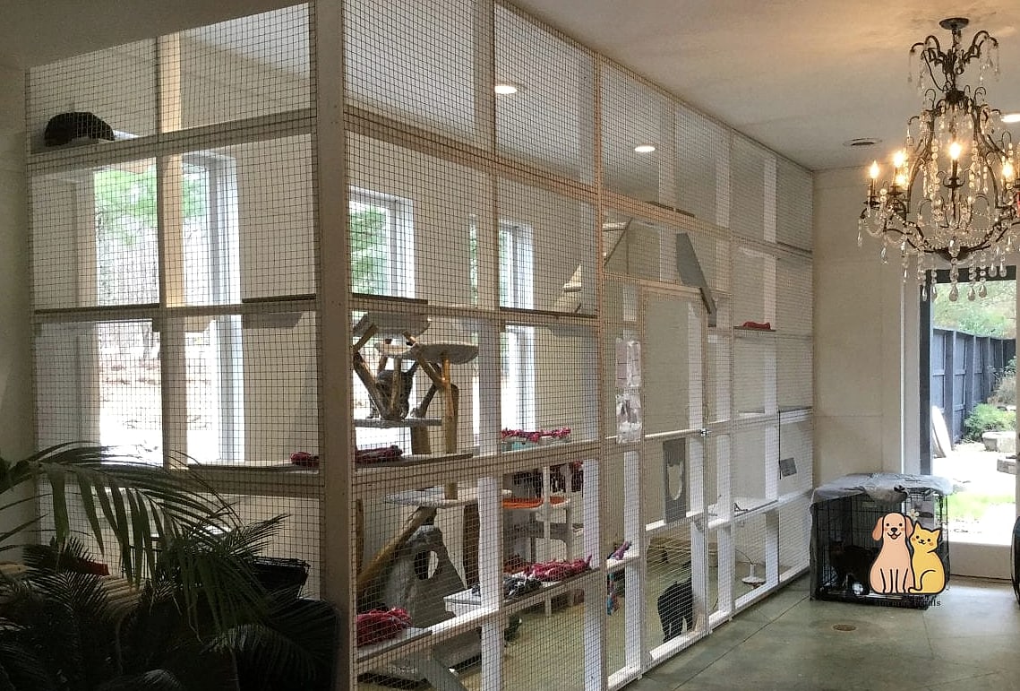 A Catio Built Off a Window