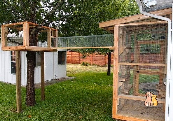 30 Creative Diy Catwalks For Cats That Will Inspire You 9 The Catio Connector Walkway
