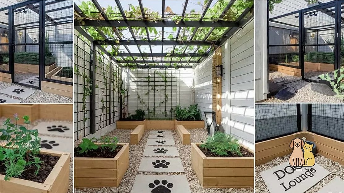 20 Stunning Dog Room Decor Guaranteed to Make You Smile 15 The Catio-Inspired Dog Sunroom Nook