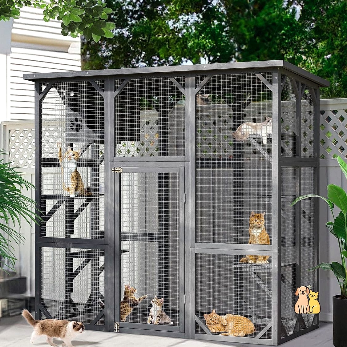 The Catio-Style Dog Enclosure