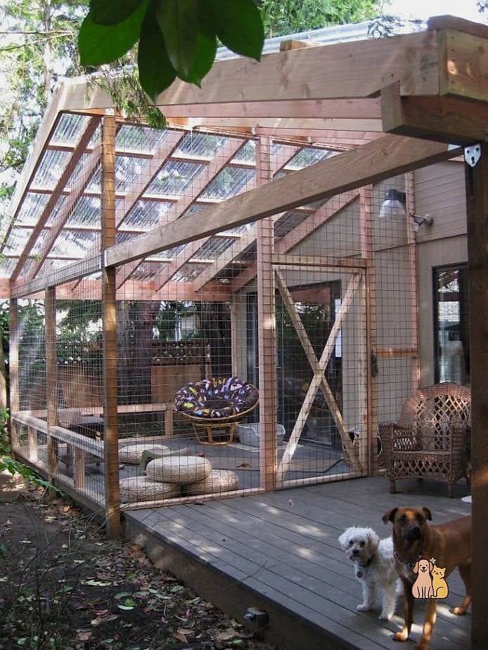 The Catio-Style Dog Patio