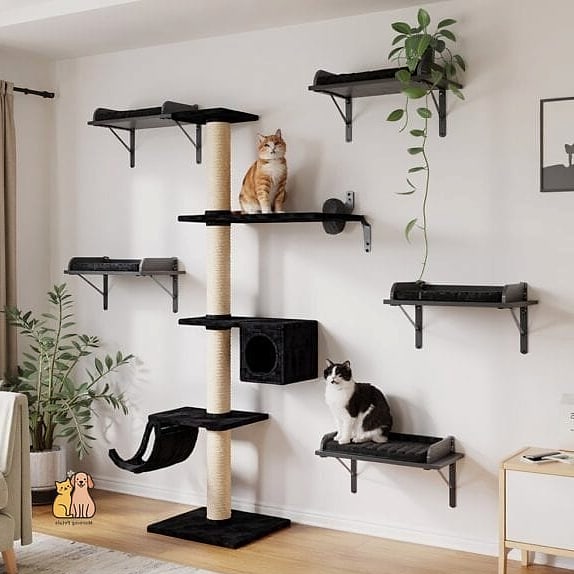 The Catio-Style Indoor Climbing Wall