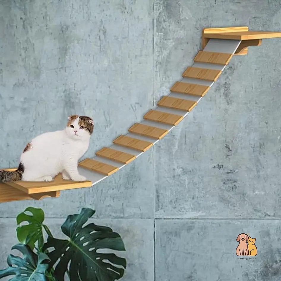 The Cat Ladder and Shelf Combo