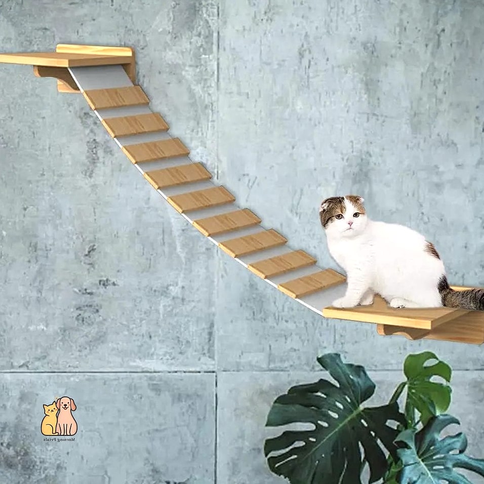 The Cat Ladder Catio System