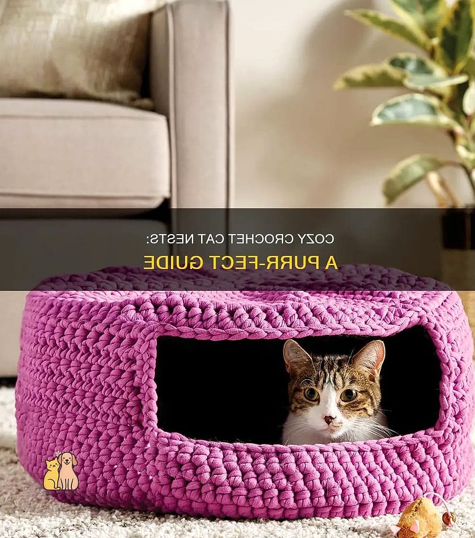 Cat Nest with Removable Cushion Insert