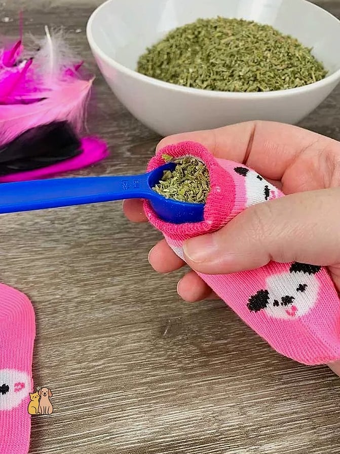 Catnip-Stuffed Sock Toy Bundle