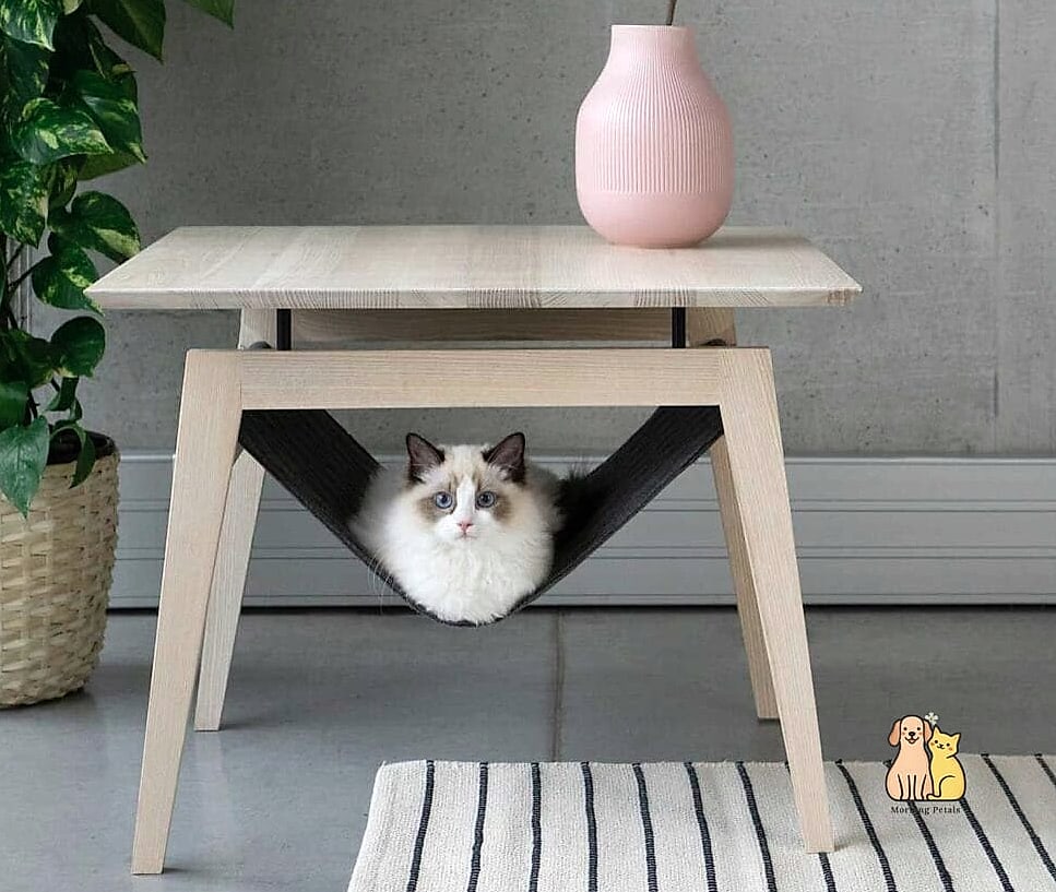 The Cat-Sized A-Frame House
