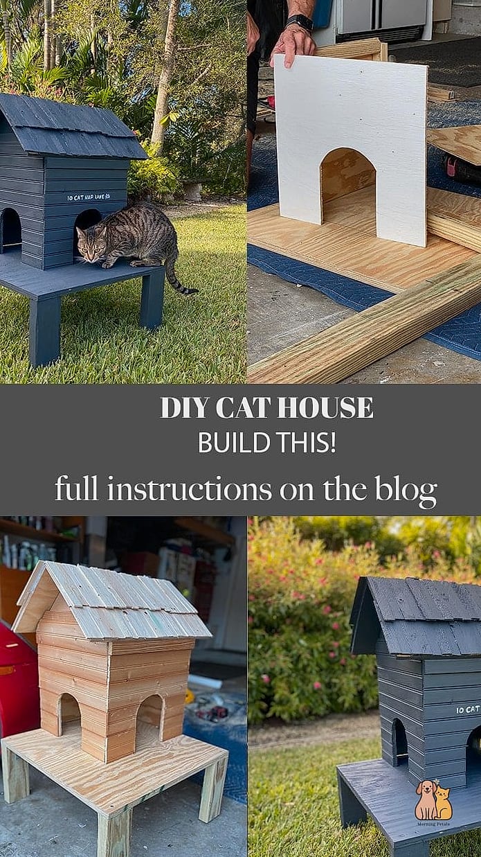 Cat-Sized Beach Hut