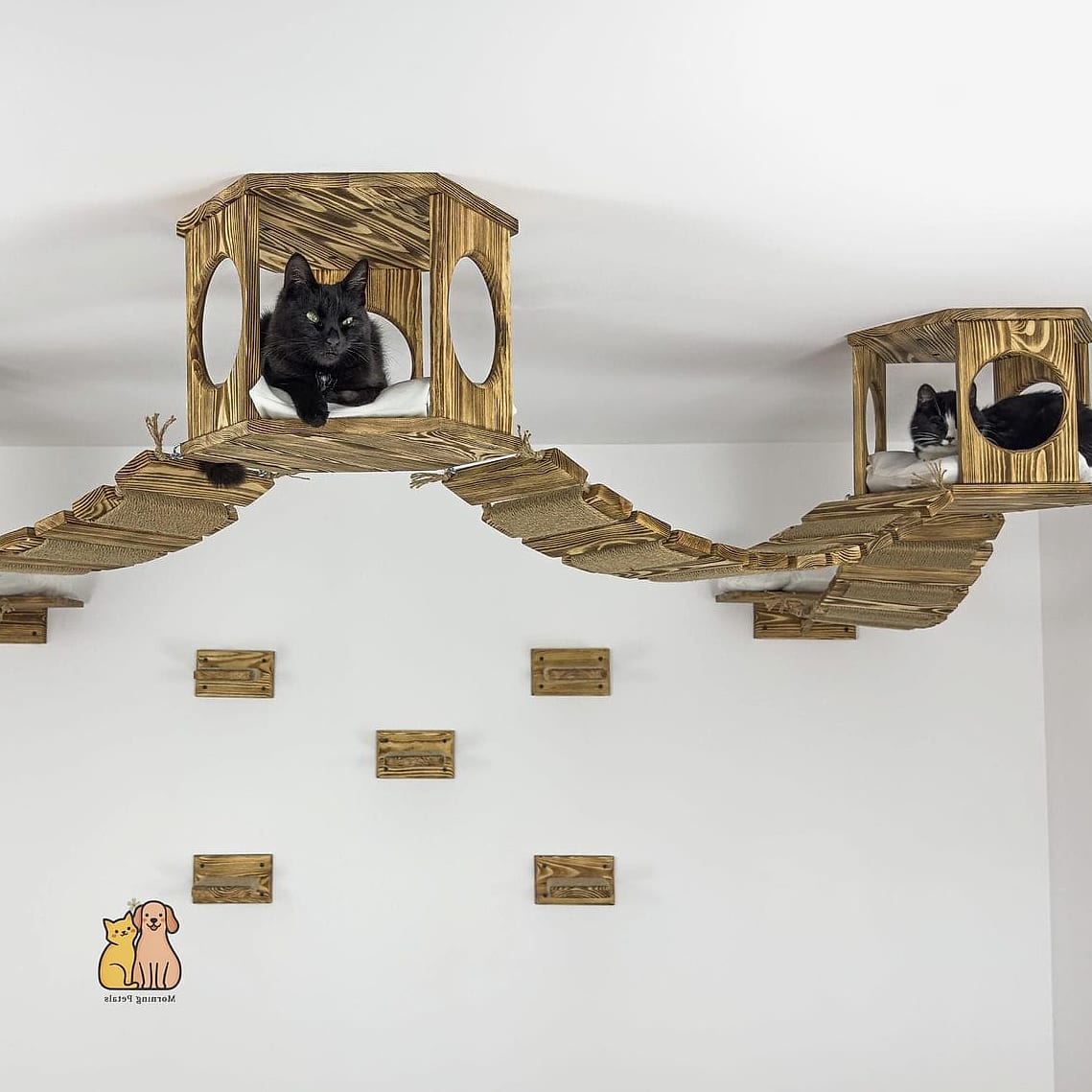 The Cat Staircase to the Ceiling