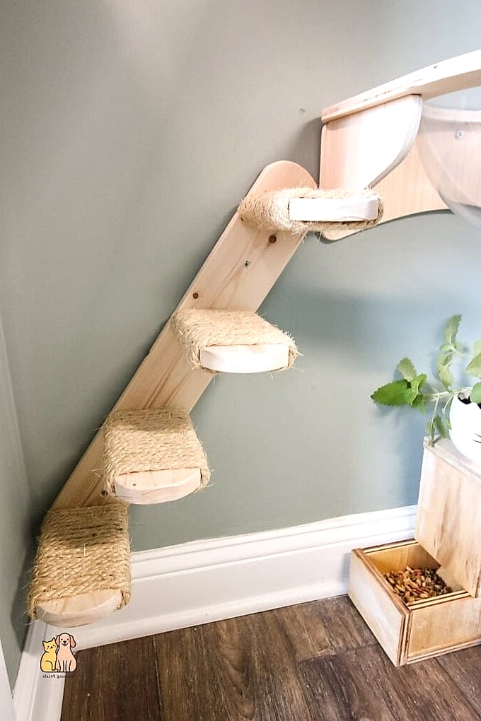 Cat Stairs from Stacked Crates