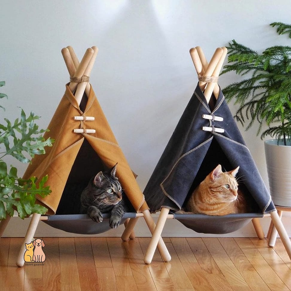 The Cat Tent