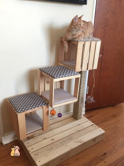 The Cat Tower With Built-In Feeder