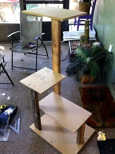 The Cat Tower Desk Combo
