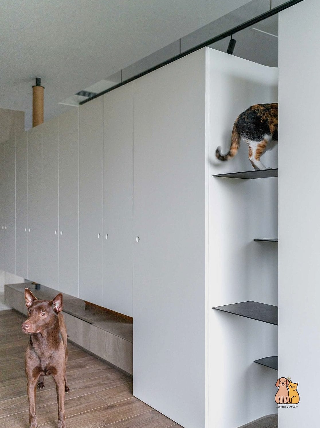 30 Perfect Dog Friendly Living Room Ideas That Will Inspire You 6 Cat Tree Turned Dog Lounge Corner