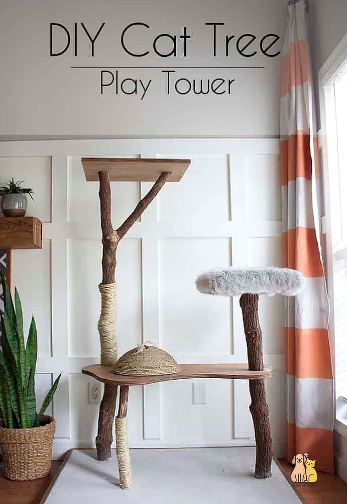 Cat Tree Base Bed Combo