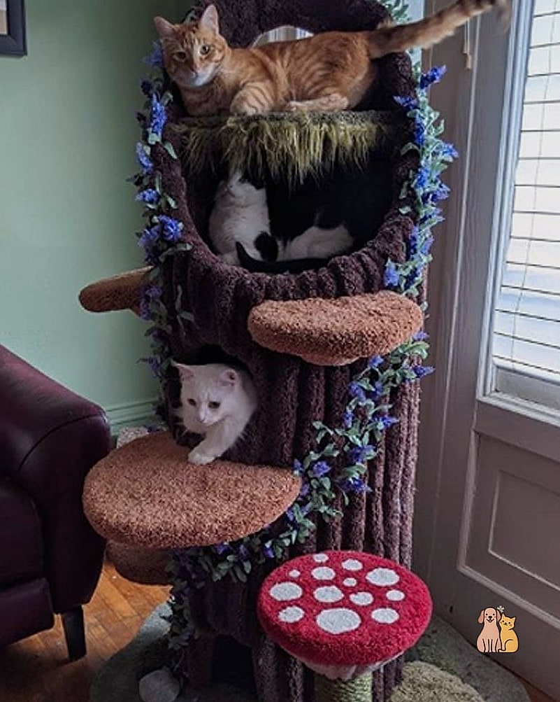 35 Precious Cool Cat Trees That Prove Pets Are the Best 26 The Cat Tree With Built-In Feeder Station