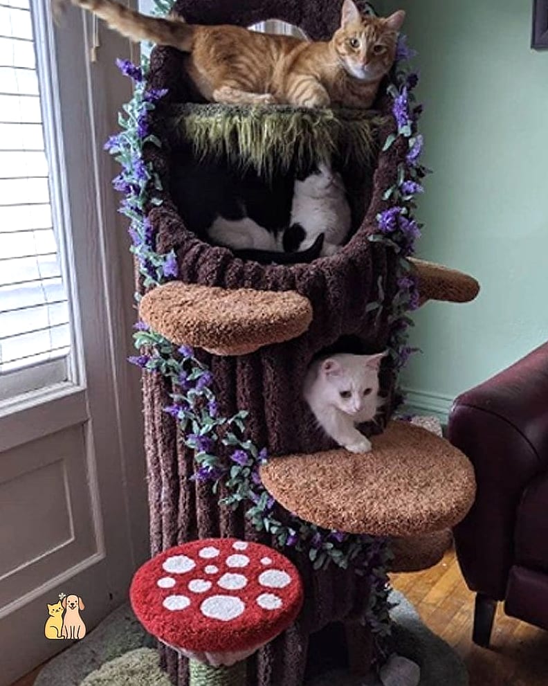 The Cat Tree with Built-In Feeding Station
