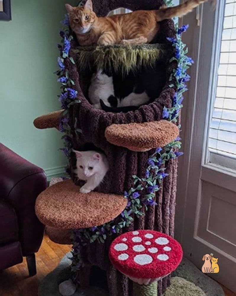 The Cat Tree with a Built-In Window Box