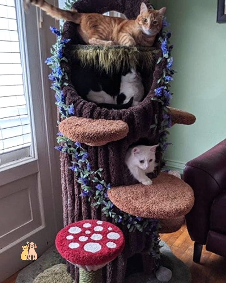 The Cat Tree with a Hanging Basket Nap Spot