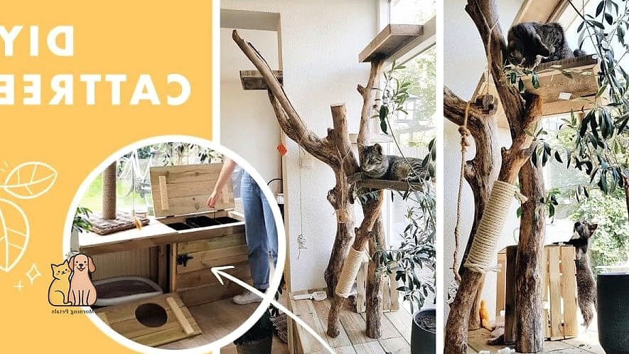 The Cat Tree with Built-In Litter Box Cabinet