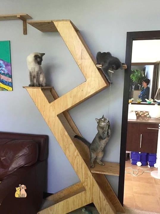 The Cat Tree with Hanging Toy Station