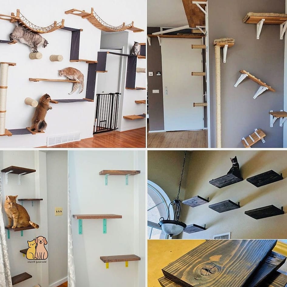 The Cat Tree Wall Extension