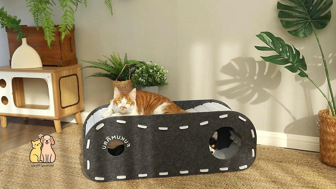 The Cat Tunnel Hideaway Bed