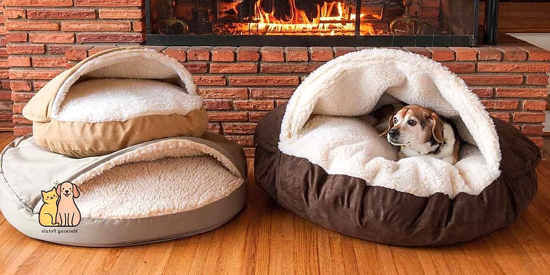 20 Stunning Best Dog Beds You Need in Your Life Right Now 9 Cave-Style Dog Bed for Dogs Who Love Privacy