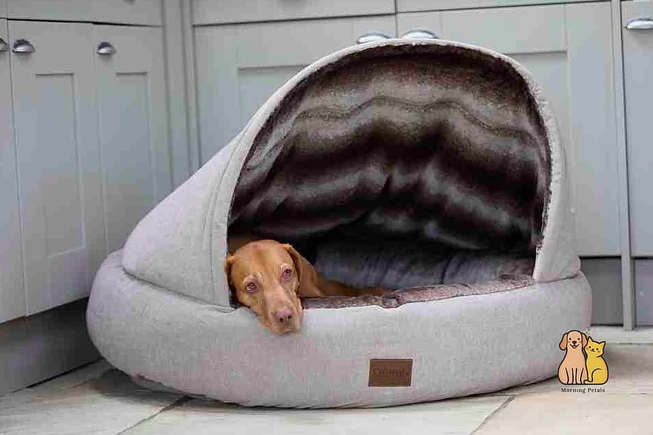 The Cave-Style Enclosed Dog Bed