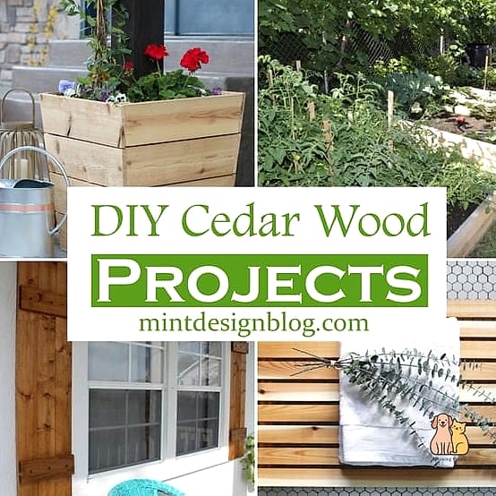 Cedar Plank Cat Cabin