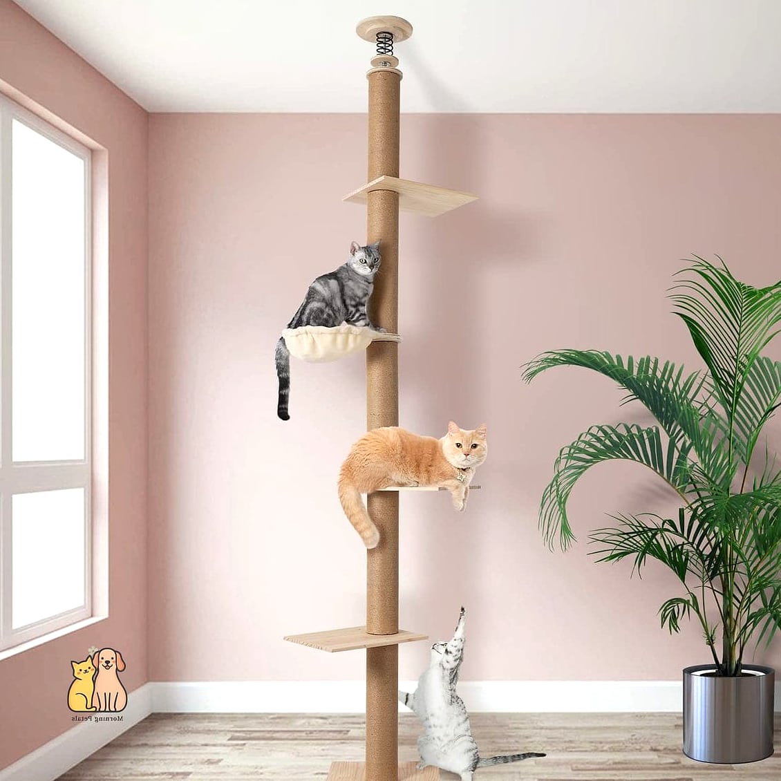 The Ceiling-to-Floor Statement Wall