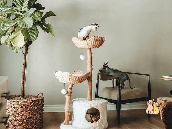 The Ceramic Cat Bowl Stand
