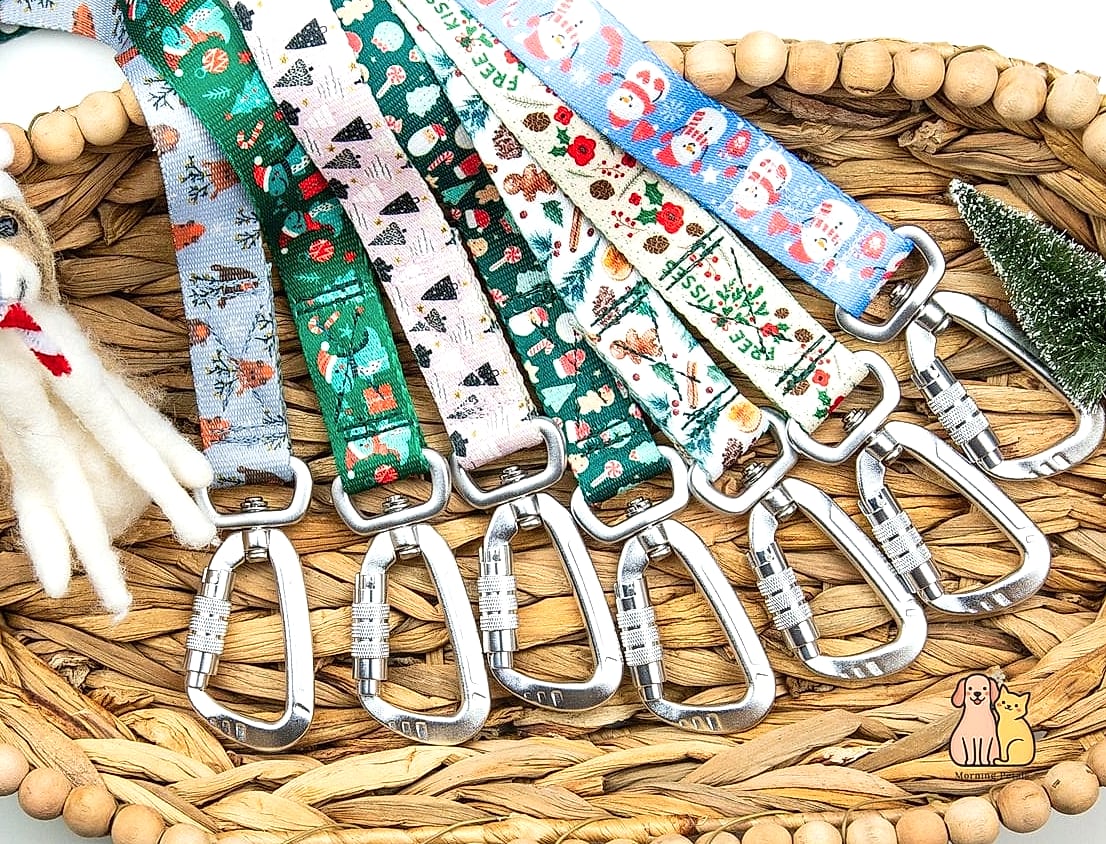 The Chain Leash for Heavy Chewers
