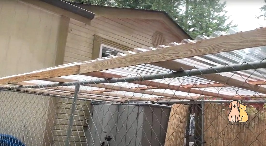 The Chain Link Budget Dog Run
