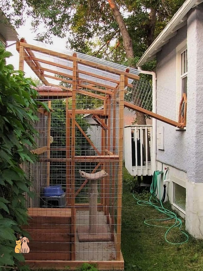 The Chain-Link Kennel Catio