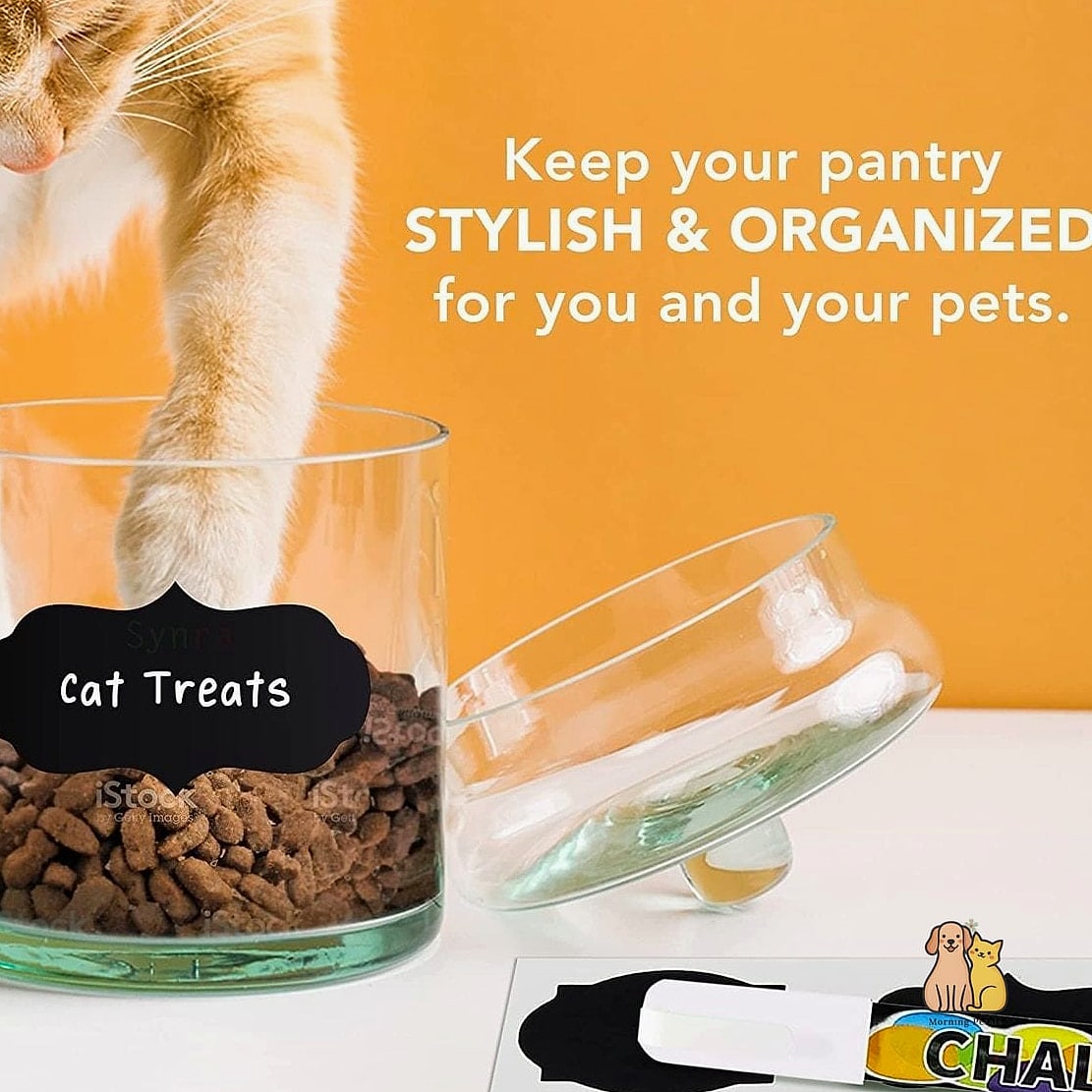 50 Budget-friendly Cat Food Station Ideas Your Pet Will Beg For More 27 The Chalkboard-Labeled Station