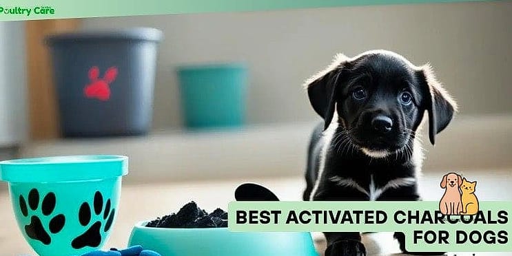 Charcoal-Filtered Potty Tray
