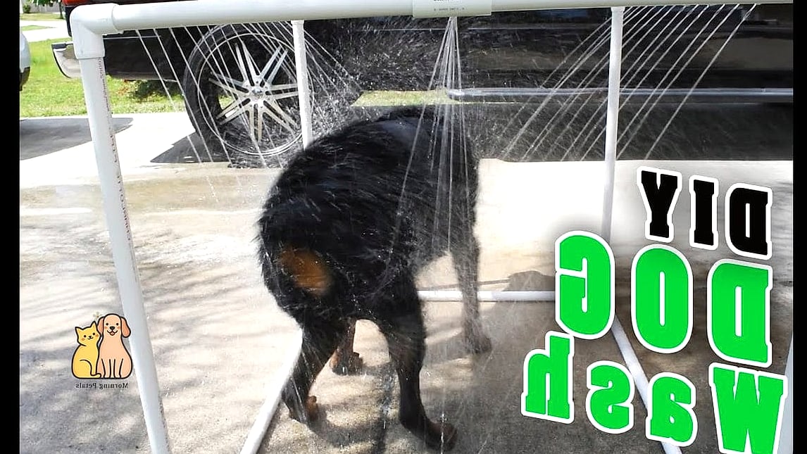 22 Perfect Outdoor Dog Shower Ideas That Are Totally Worth It 20 The Chicken Wire Drying Rack Add-On