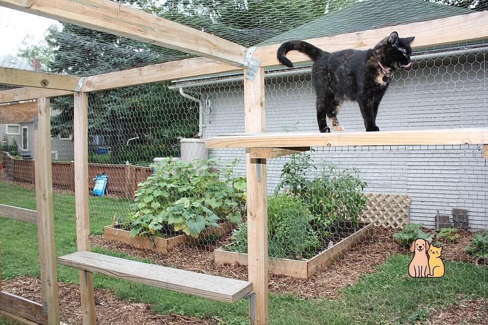 The Chicken Wire Farmhouse Run
