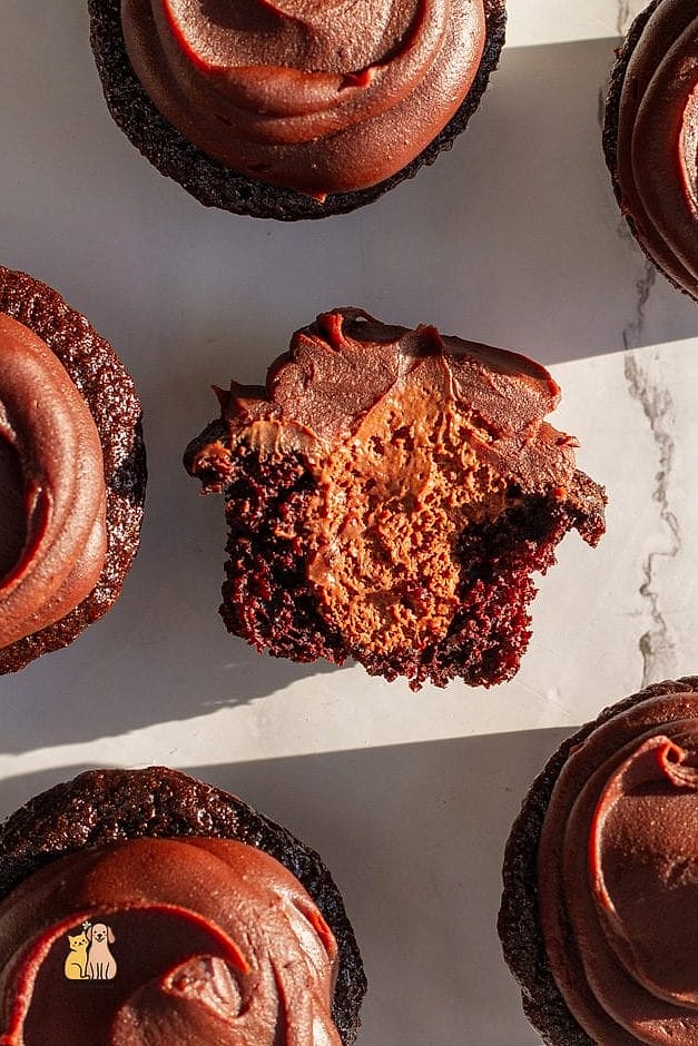 Chocolate Look-Alike Dog Cupcakes