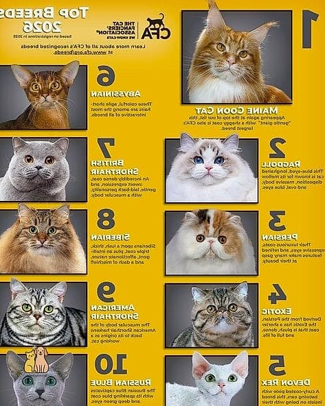 Choosing the Right Breed for Your Home